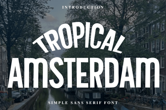 Tropical Amsterdam: A Festive Display Font for Small Business Charm